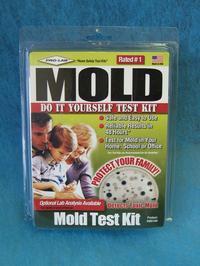 moldtest